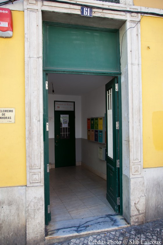 Retrosaria_copyright-6